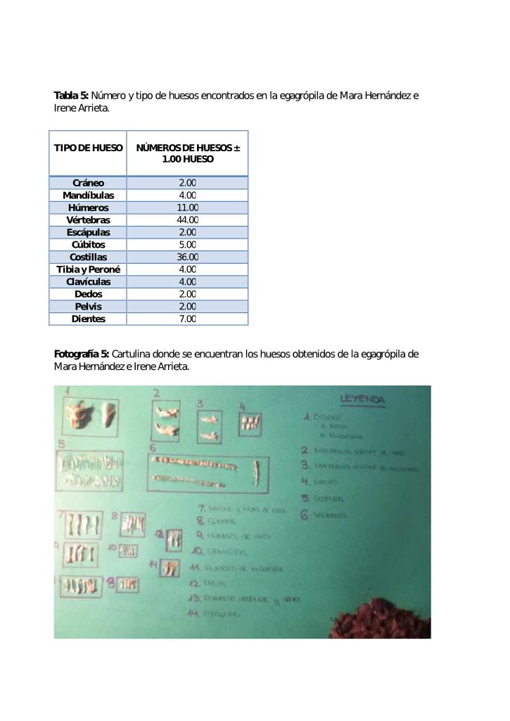 Informe egagrópilas Rocío Blanco 6