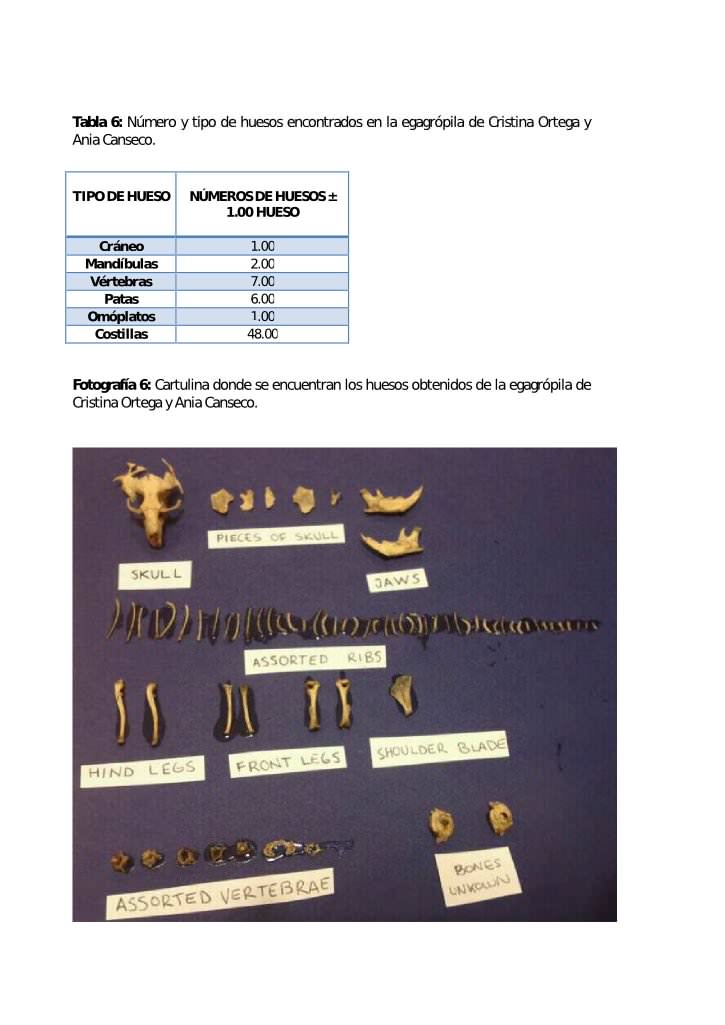 Informe egagrópilas Rocío Blanco 7