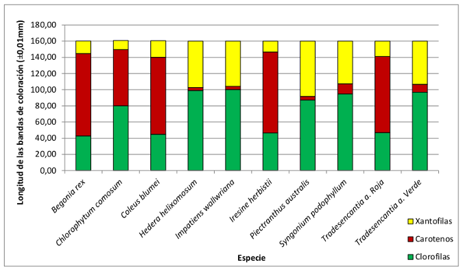 Gráfico 1: cantidad media de pigmentos fotosintéticos de cada una de las especies estudiadas.