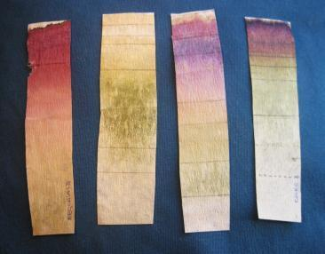 Ilustración 5: ejemplo de las tiras de papel de filtro con las bandas de coloración.