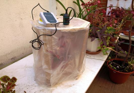 Ilustración 8: campana de monitorización de producción de oxígeno con el sensor específico.