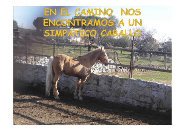 Presentación excursión molinos y batanes 14