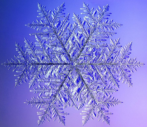 La geometría de los copos de nieve